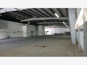 Bodega en Renta en Enrique C Rebsamen Veracruz