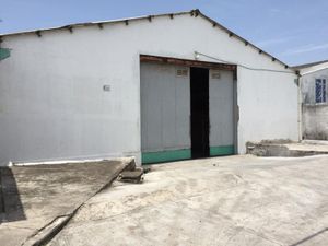 Bodega en Renta en Pedro Ignacio Mata Veracruz