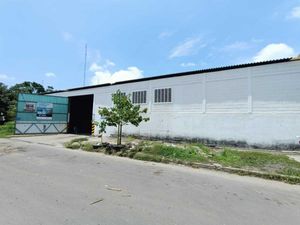 Bodega en Renta en Bruno Pagliai Veracruz