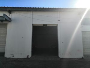 Bodega en Renta en Flores del Valle Veracruz