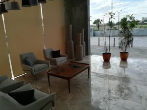 Oficina en Renta en Playas del Conchal Alvarado