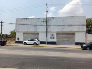 Bodega en Renta en Las Amapolas Veracruz