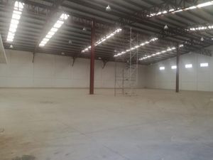 Bodega en Renta en Lorenzo Barcelata Veracruz