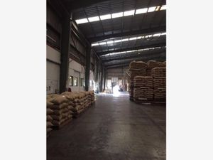 Bodega en Renta en Bruno Pagliai Veracruz