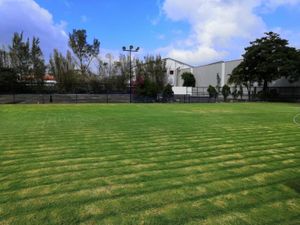 Terreno en Renta en Bruno Pagliai Veracruz