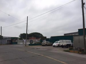 Bodega en Renta en Bruno Pagliai Veracruz