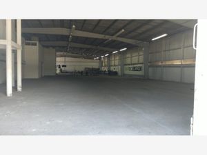 Bodega en Renta en Enrique C Rebsamen Veracruz