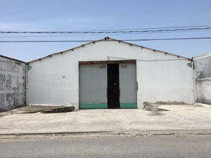 Bodega en Renta en Pedro Ignacio Mata Veracruz