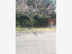 Terreno en Venta en Paso del Toro Medellín de Bravo