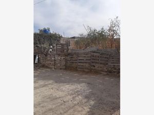 Terreno en Venta en San Pablo Tecalco Tecámac