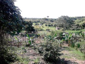 Terreno en Venta en Tronconal de Herrera Beltrán Tuxpan