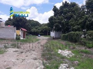 Terreno en Venta en Ricardo Flores Magon Tihuatlán