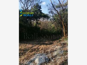 Terreno en Venta en Campestre Alborada Tuxpan