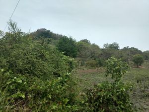 Terreno en Venta en Tampache Tamiahua