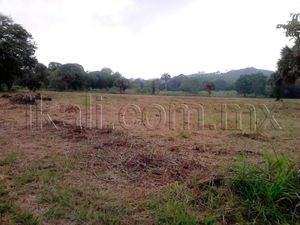 Terreno en Venta en El palmar Papantla