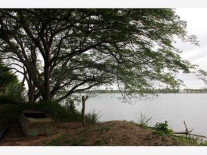 Terreno en Renta en La Victoria Tuxpan