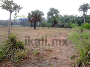 Terreno en Venta en El Palmar Kilómetro 40 Papantla