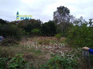 Terreno en Venta en Higueral Tuxpan