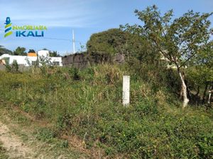 Terreno en Venta en Ceas Tuxpan