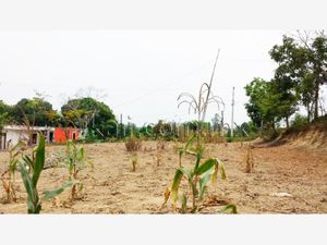 Terreno en Venta en INFONAVIT Las Granjas Tuxpan