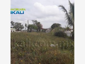 Terreno en Renta en Anahuac Tuxpan