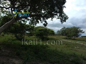 Terreno en Venta en Palo Blanco Tamiahua