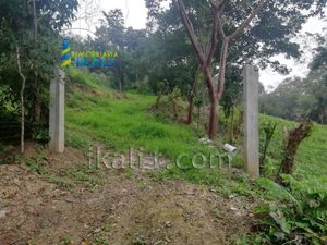 Terreno en Venta en Pital Mozutla Papantla