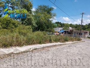 Terreno en Renta en Anahuac Tuxpan