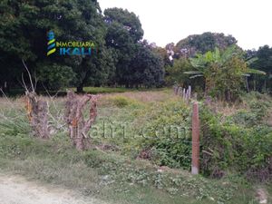 Terreno en Venta en Higueral Tuxpan