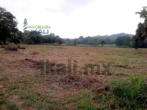 Terreno en Venta en El Palmar Kilómetro 40 Papantla