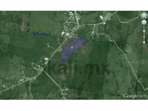 Terreno en Venta en El Palmar Kilómetro 40 Papantla