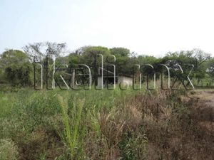 Terreno en Venta en Ceas Tuxpan