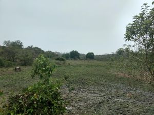 Terreno en Venta en Tampache Tamiahua