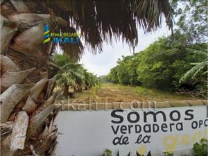 Terreno en Venta en Tecolutla Tecolutla