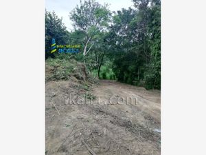 Terreno en Venta en Pital Mozutla Papantla