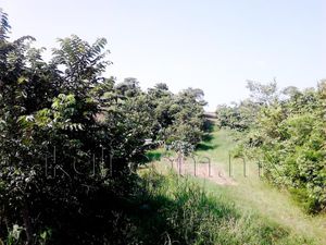 Terreno en Venta en Tronconal de Herrera Beltrán Tuxpan