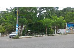 Terreno en Venta en Margarita Maza de Juarez Papantla