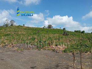 Terreno en Venta en El Mollejon Poza Rica de Hidalgo