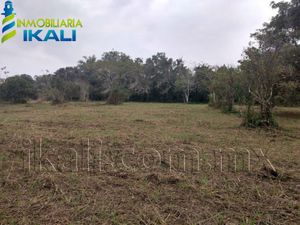 Terreno en Venta en Juana Moza Tuxpan