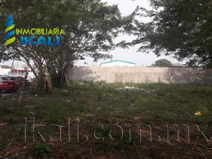 Terreno en Renta en Franco Cruz Hernández Tuxpan