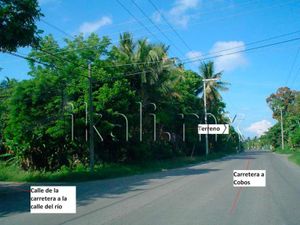 Terreno en Renta en La Victoria Tuxpan