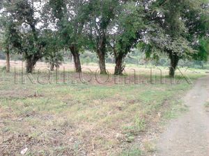 Terreno en Venta en El palmar Papantla