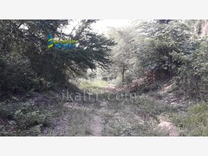 Terreno en Venta en Anahuac Poza Rica de Hidalgo