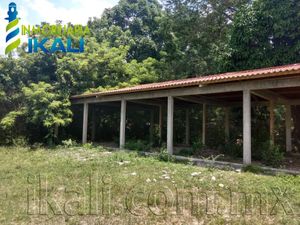 Terreno en Venta en Temapache Álamo Temapache