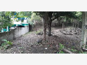 Terreno en Venta en Los Mangos Tuxpan