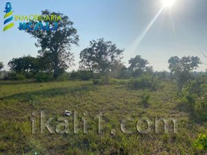 Terreno en Venta en Juana Moza Tuxpan