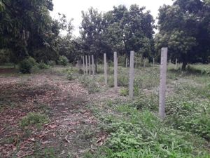 Terreno en Venta en Ricardo Flores Magon Tihuatlán