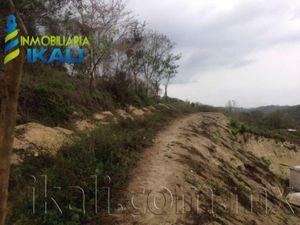 Terreno en Venta en Independencia Papantla