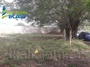 Terreno en Renta en Franco Cruz Hernández Tuxpan