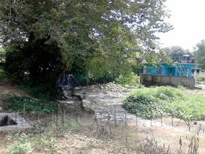 Terreno en Venta en Los Pinos Tuxpan